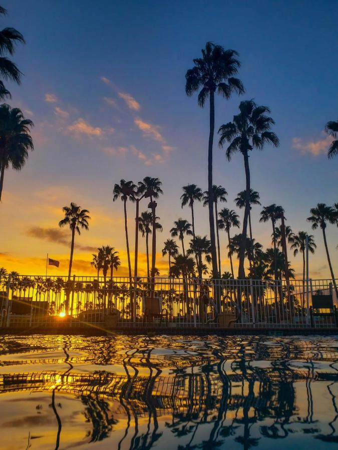 Victoria Palms Inn And Suites Donna Екстер'єр фото